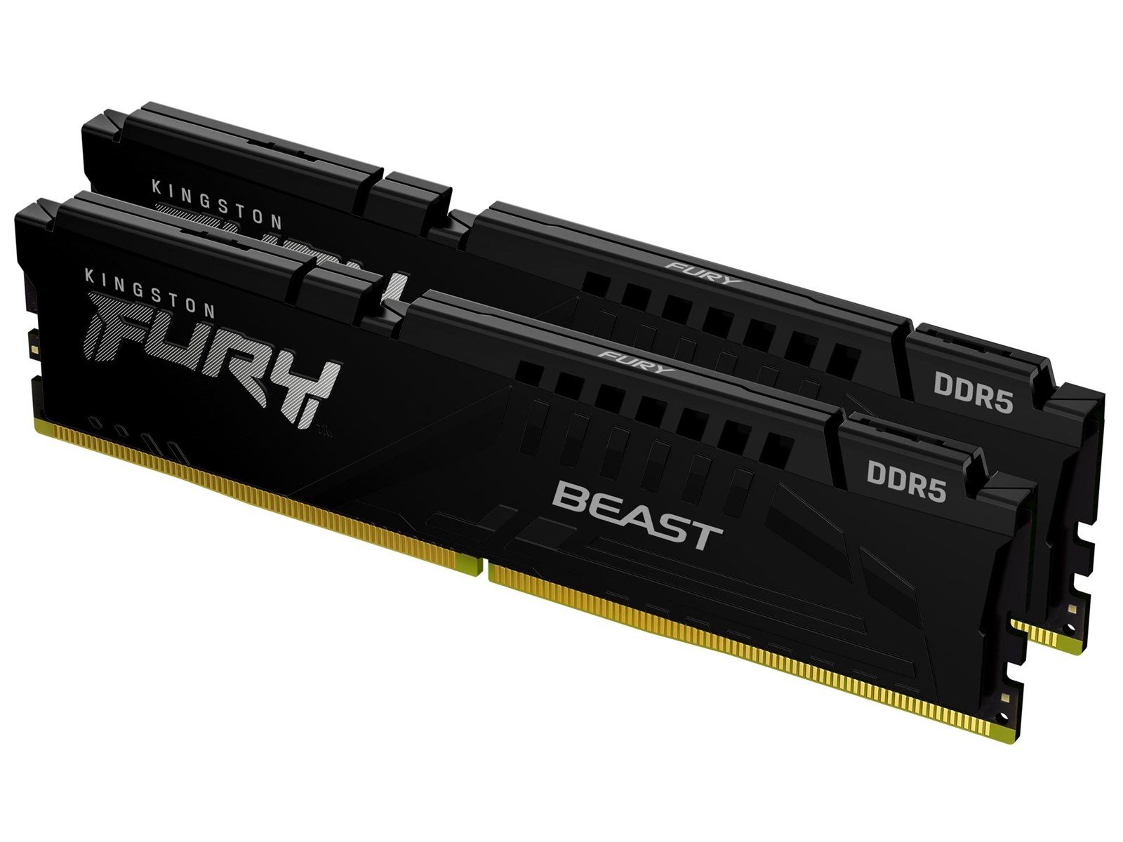 Kingston FURY Beast DDR5-6000 CL30 EXPO
